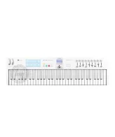 CONTROLADOR  ARTURIA KEYLAB ESSENTIAL 61 - Image 2
