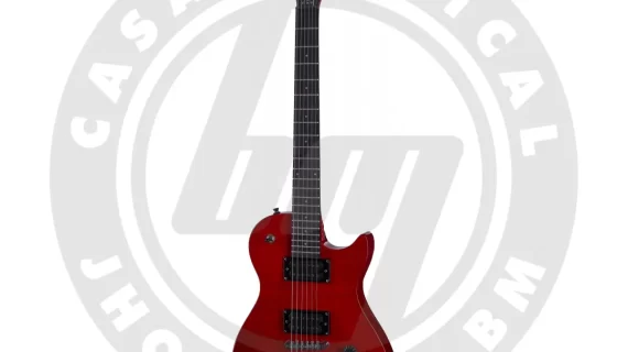 GUITARRA ELECTRICA  WASHBURN WIN 14